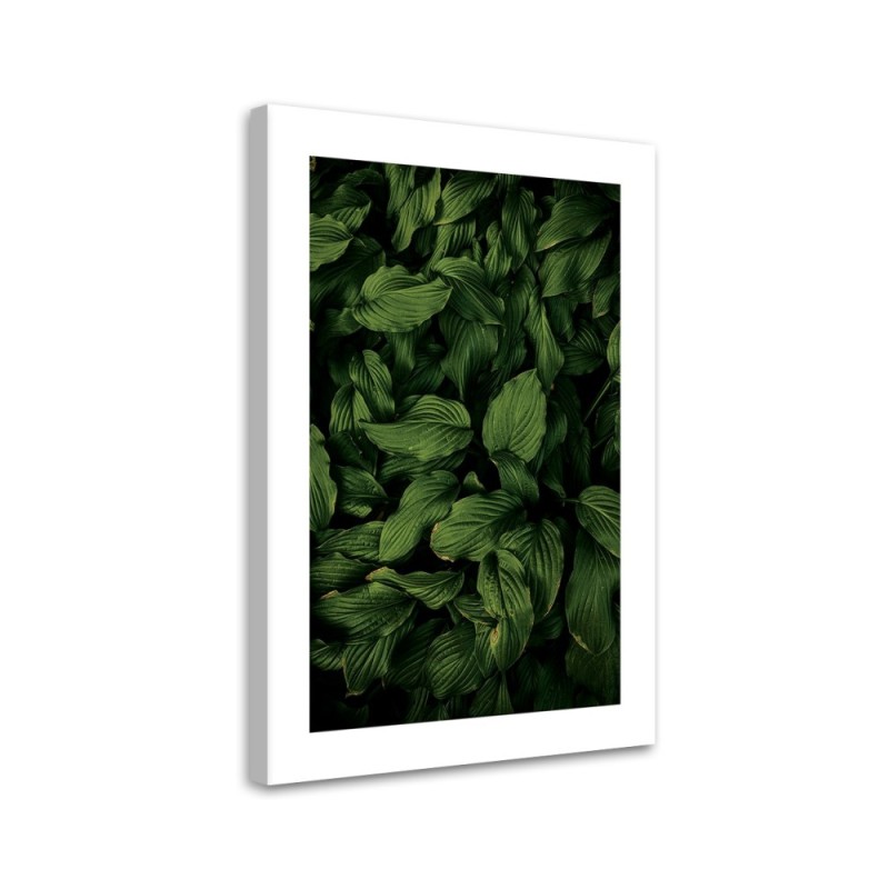 Canvas painting - Dark green leaves | FEEBY