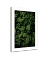 Canvas painting - Dark green leaves | FEEBY