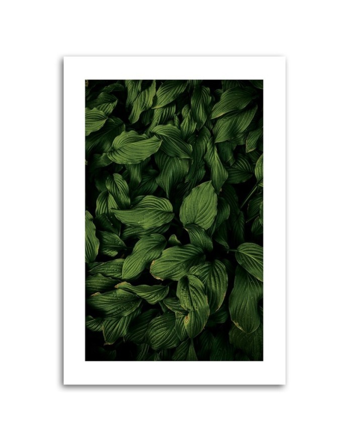 Canvas painting - Dark green leaves | FEEBY