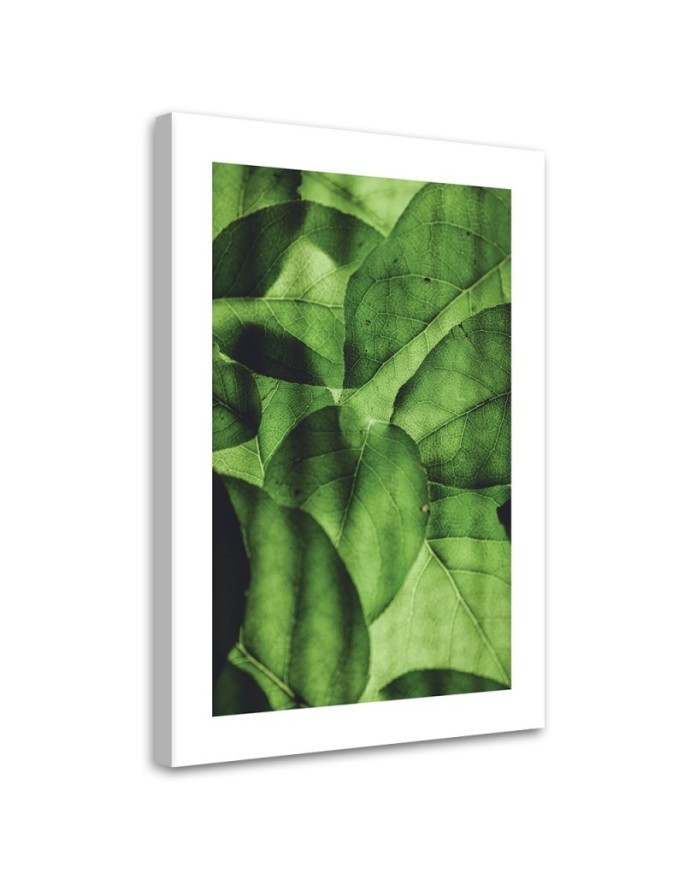 Canvas painting - Green leaves macro | FEEBY
