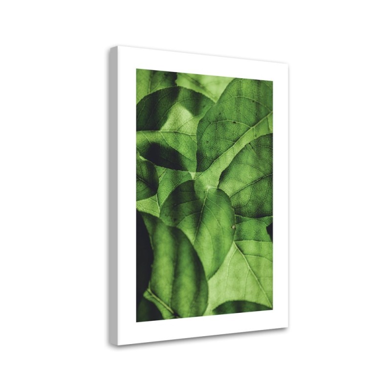 Canvas painting - Green leaves macro | FEEBY