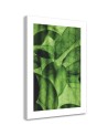 Canvas painting - Green leaves macro | FEEBY