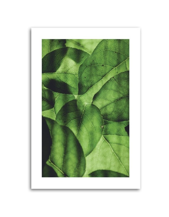 Canvas painting - Green leaves macro | FEEBY