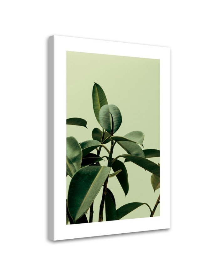 Canvas painting - Green nature plant | FEEBY