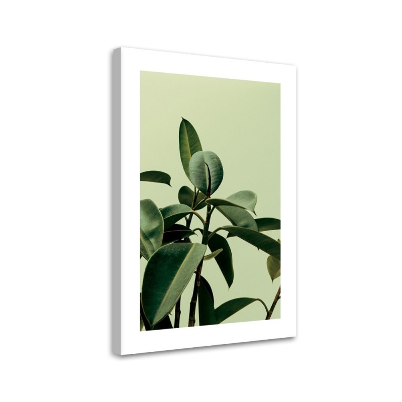 Canvas painting - Green nature plant | FEEBY