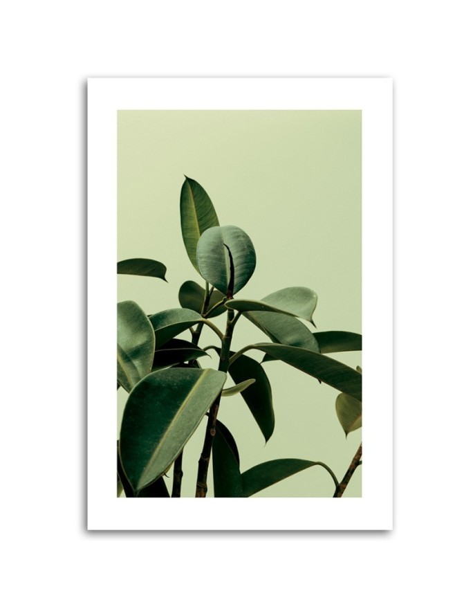 Canvas painting - Green nature plant | FEEBY