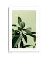 Canvas painting - Green nature plant | FEEBY