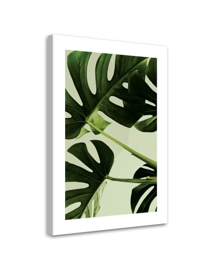 Canvas painting - Green monstera leaves | FEEBY