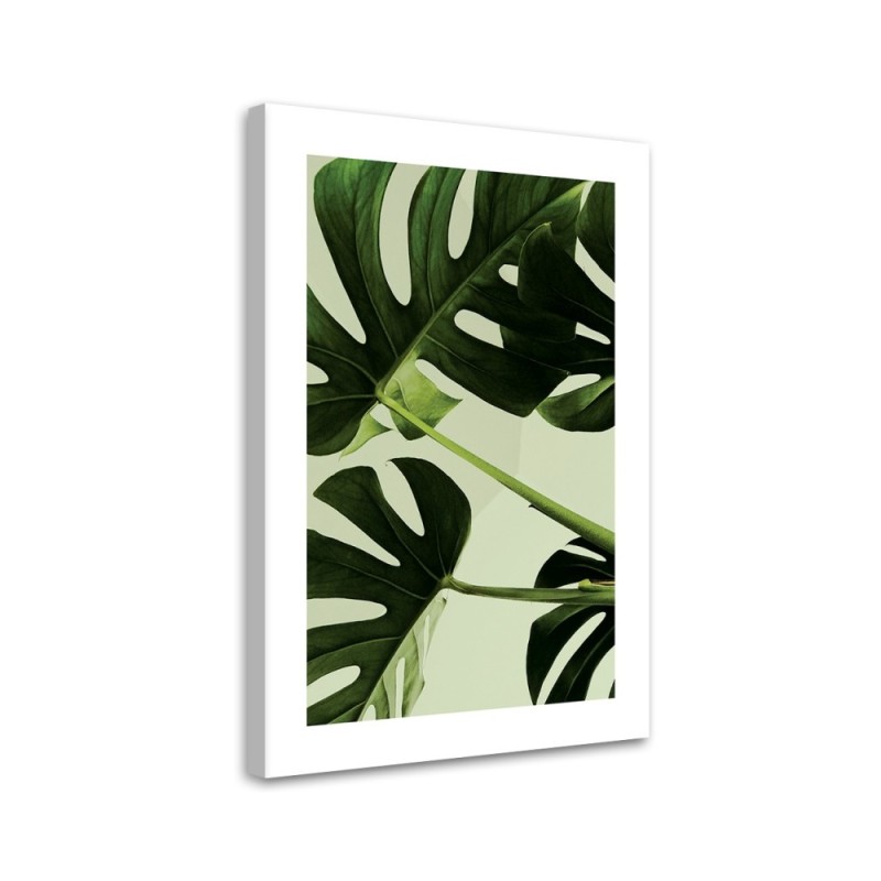 Canvas painting - Green monstera leaves | FEEBY