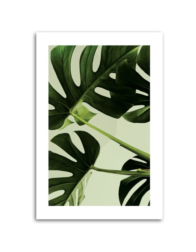 Canvas painting - Green monstera leaves | FEEBY