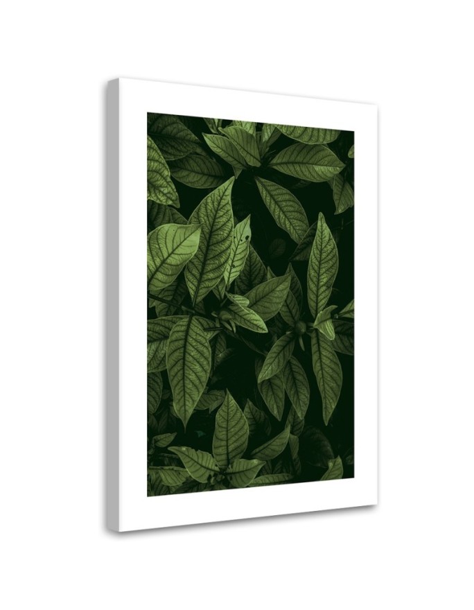 Canvas print Green leaves