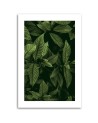 Canvas painting - Green leaves | FEEBY