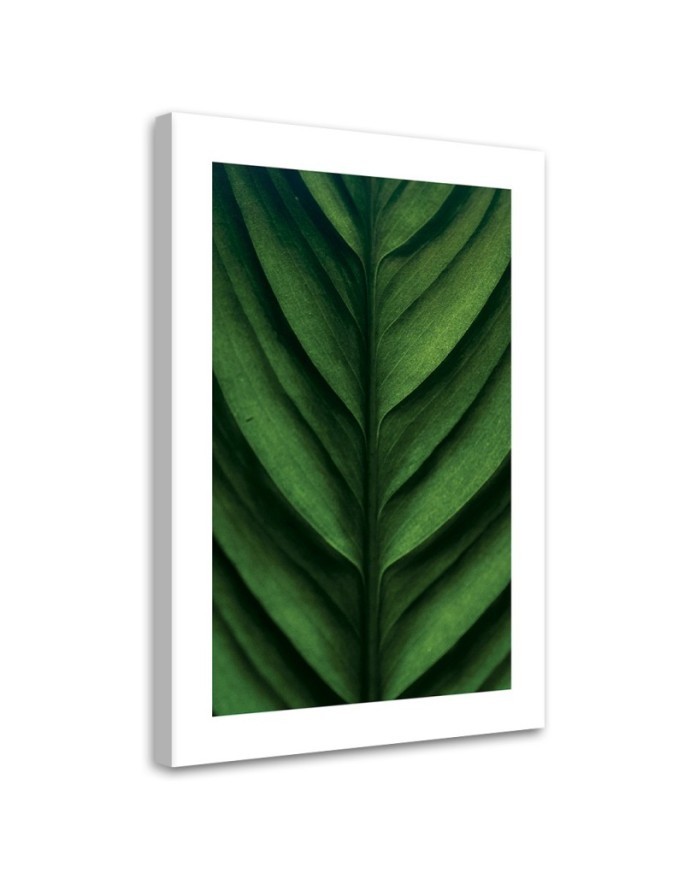 Canvas painting - Green macro-leaf | FEEBY