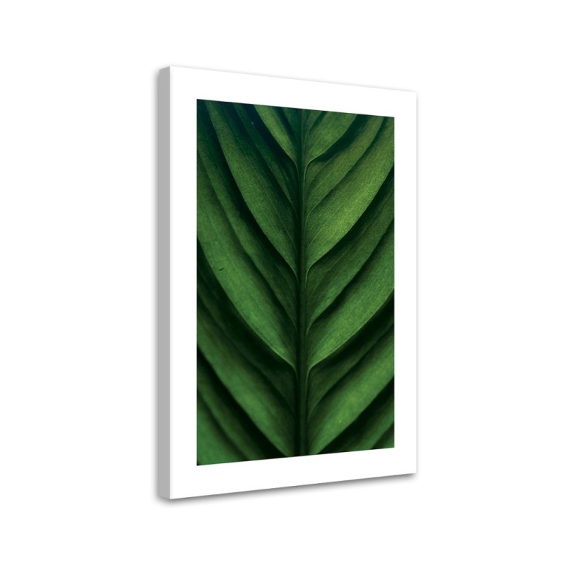 Canvas painting - Green macro-leaf | FEEBY