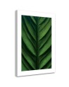 Canvas painting - Green macro-leaf | FEEBY