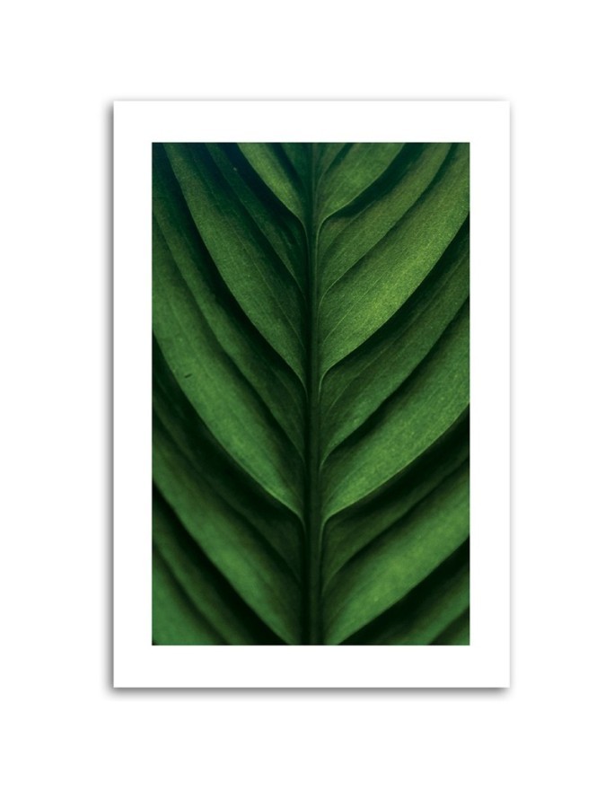 Canvas painting - Green macro-leaf | FEEBY