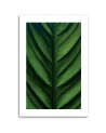 Canvas painting - Green macro-leaf | FEEBY