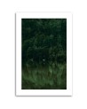 Canvas painting - Green forest by a lake | FEEBY