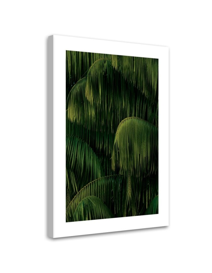 Canvas print Palm trees...