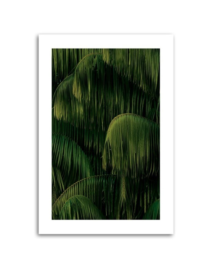 Canvas painting - Palm trees after the rain | FEEBY