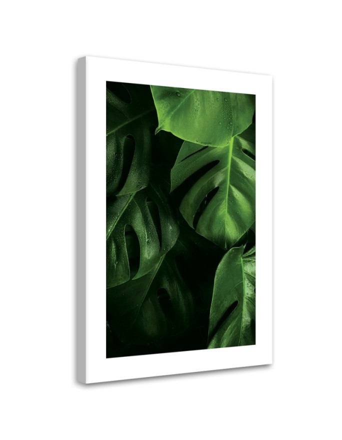 Canvas painting - Monstera leaves water drops | FEEBY