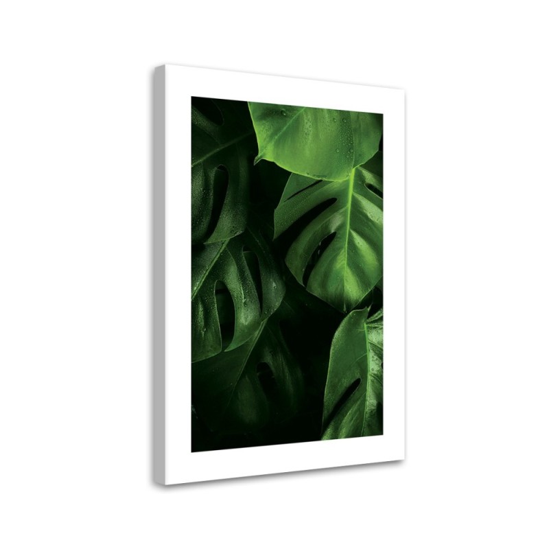 Canvas painting - Monstera leaves water drops | FEEBY