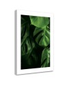 Canvas painting - Monstera leaves water drops | FEEBY