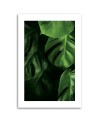 Canvas painting - Monstera leaves water drops | FEEBY