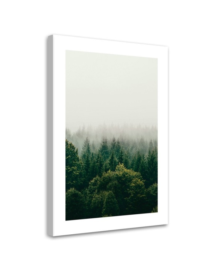 Canvas painting - Green forest in the mist | FEEBY