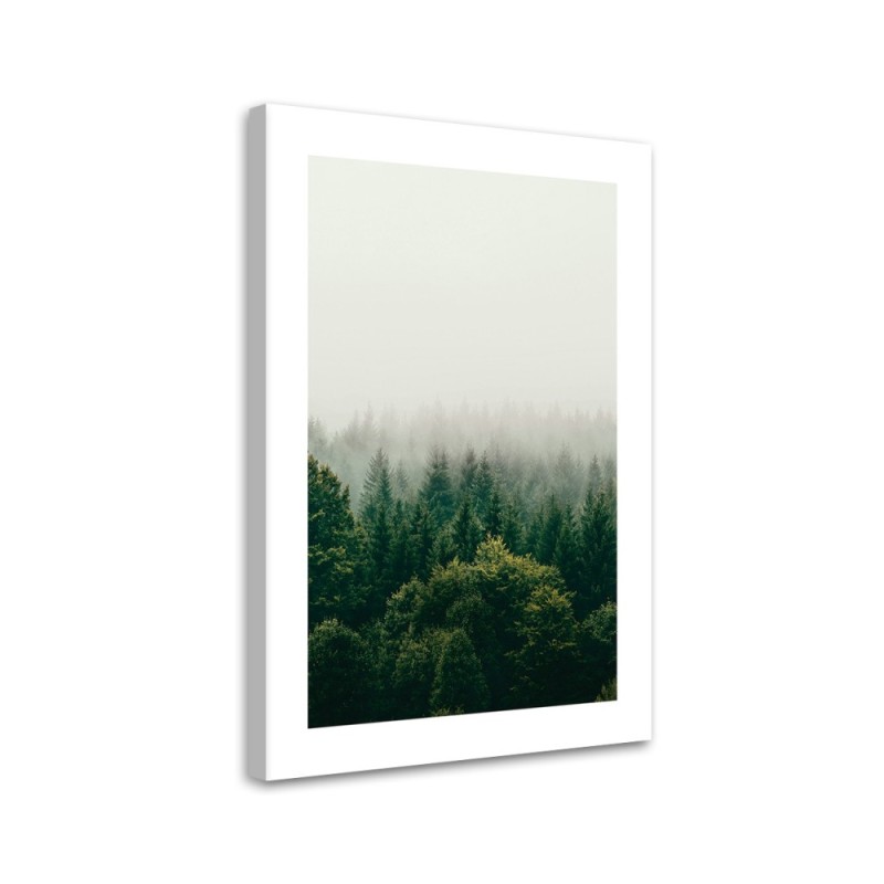 Canvas painting - Green forest in the mist | FEEBY