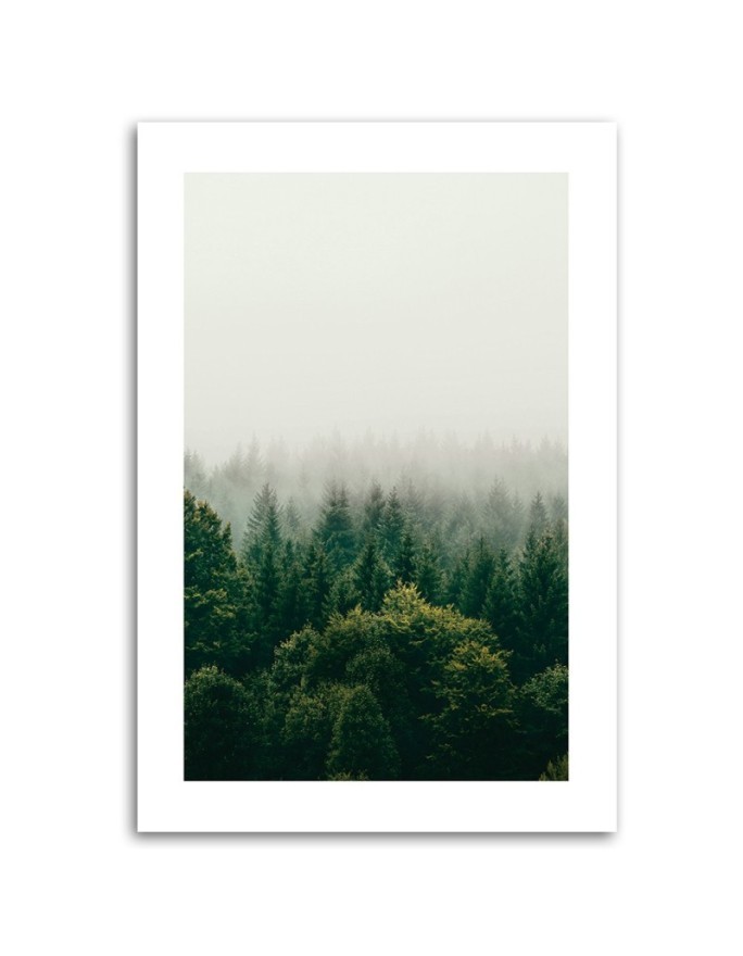 Canvas painting - Green forest in the mist | FEEBY
