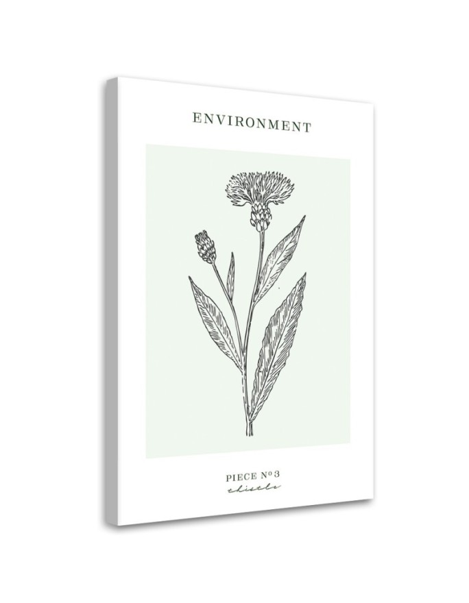 Canvas print Thistle plant...