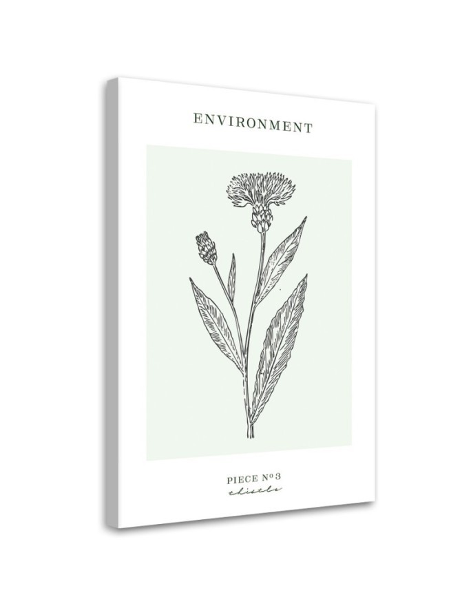 Canvas painting - Thistle plant | FEEBY