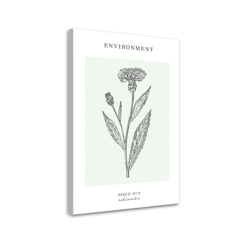 Canvas painting - Thistle plant | FEEBY