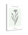 Canvas painting - Thistle plant | FEEBY