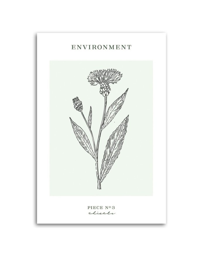 Canvas painting - Thistle plant | FEEBY