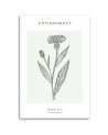 Canvas painting - Thistle plant | FEEBY