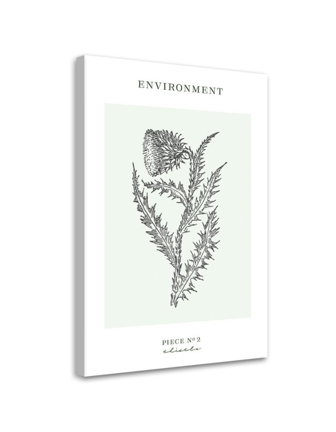 Canvas painting - Thistle plant | FEEBY