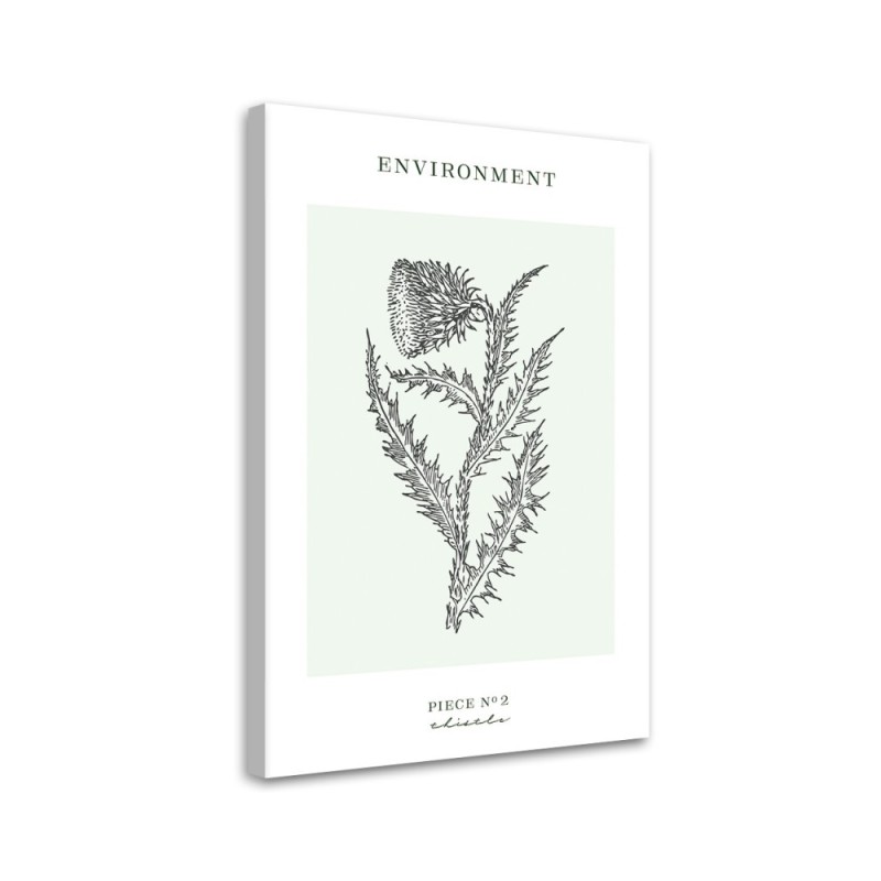 Canvas painting - Thistle plant | FEEBY