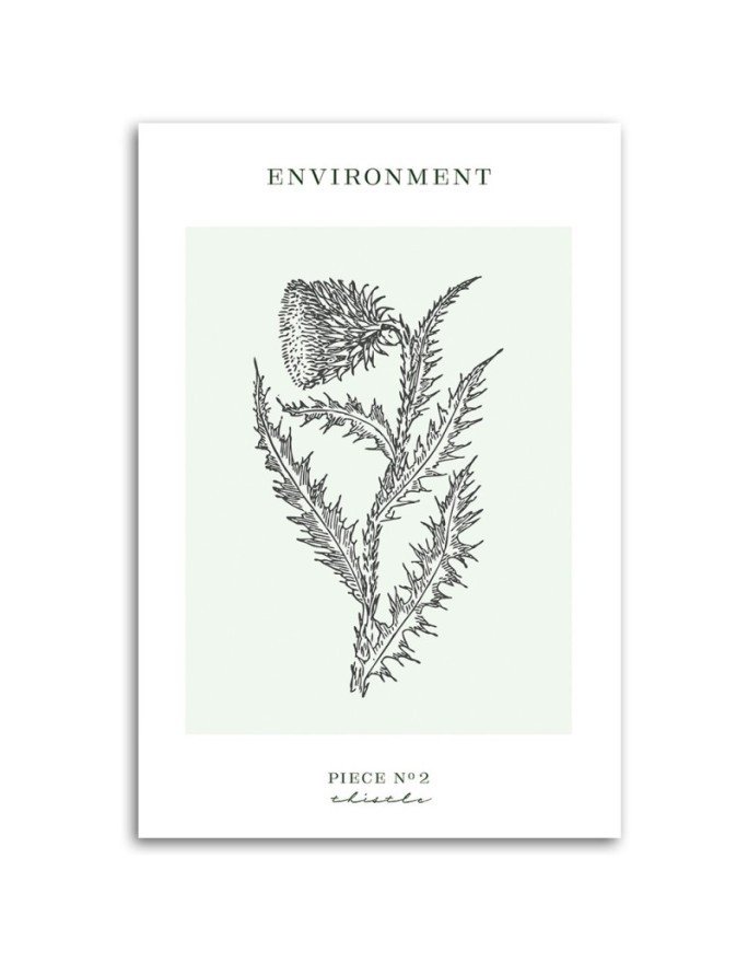 Canvas painting - Thistle plant | FEEBY
