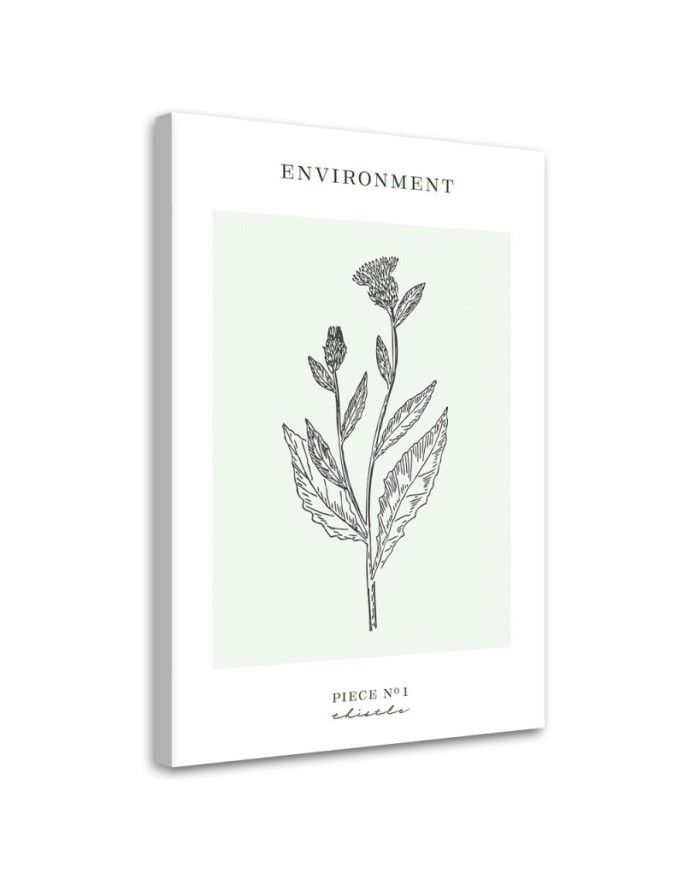 Canvas painting - Thistle plant | FEEBY