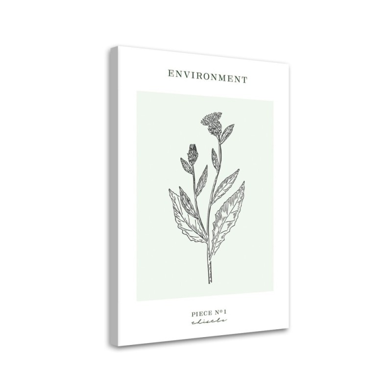 Canvas painting - Thistle plant | FEEBY