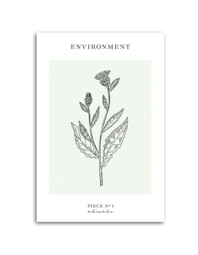 Canvas painting - Thistle plant | FEEBY