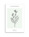 Canvas painting - Thistle plant | FEEBY