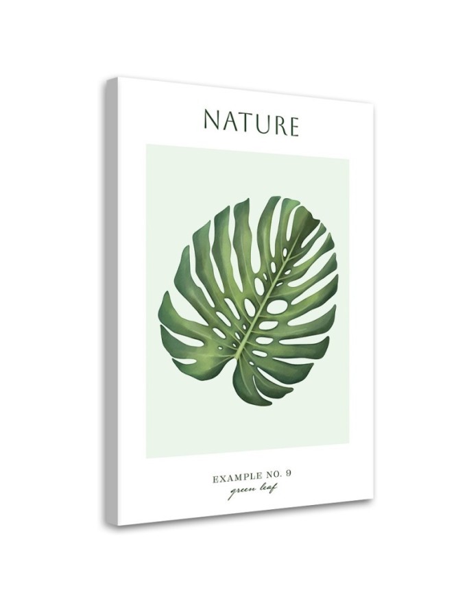 Canvas painting - Green monstera leaf | FEEBY