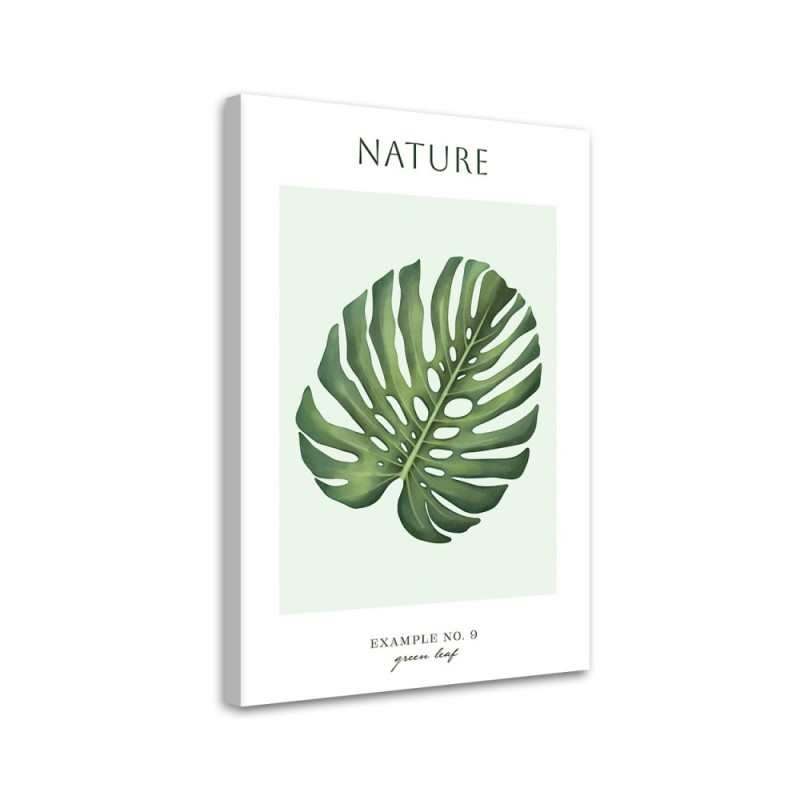 Canvas painting - Green monstera leaf | FEEBY
