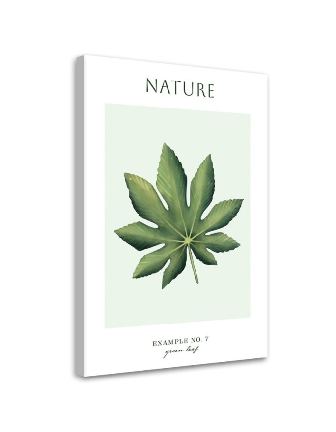 Canvas print Green leaf -...