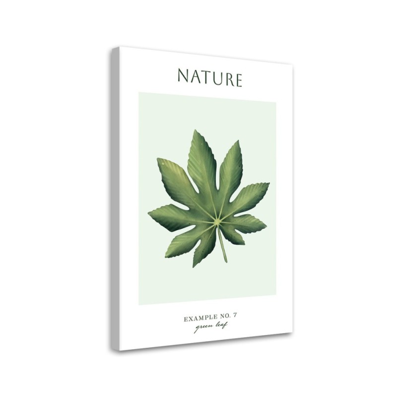 Canvas painting - Green leaf | FEEBY
