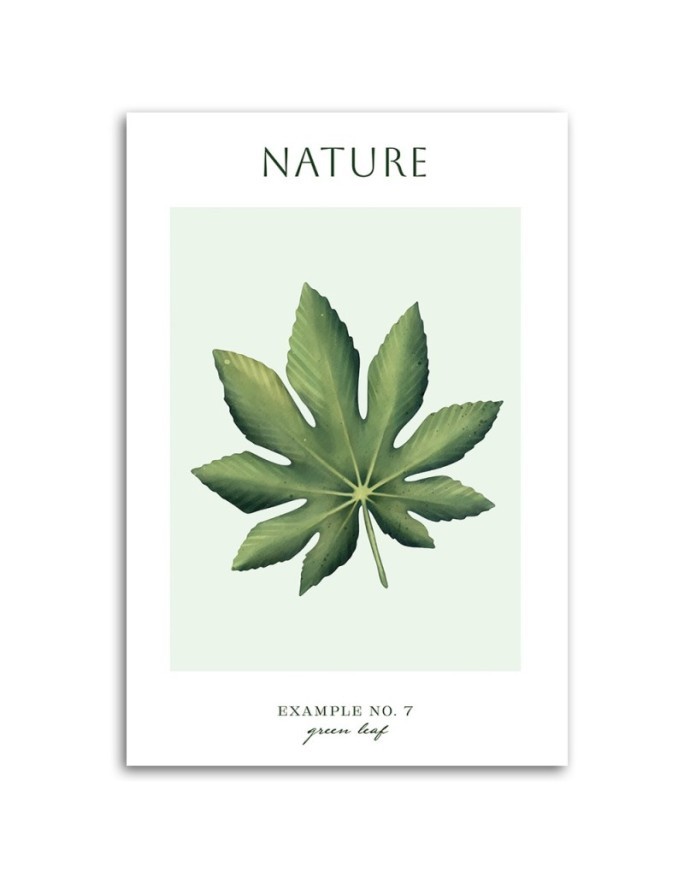 Canvas painting - Green leaf | FEEBY