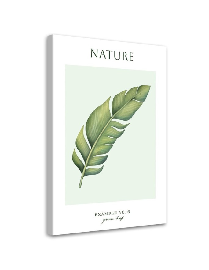 Canvas print Green leaf -...